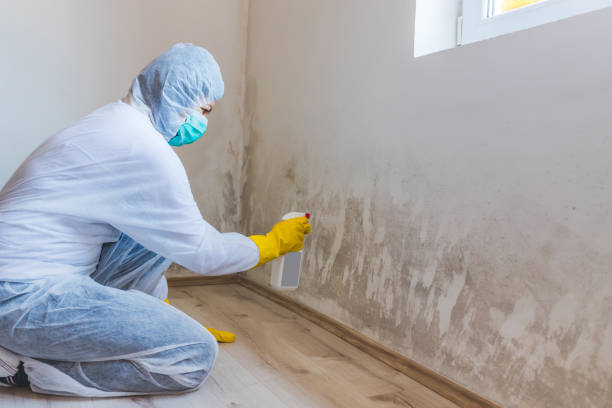 Hvac And Air Duct Mold Remediation inspection of HVAC system in Feasterville Trevose